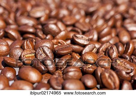 Light roasted coffee beans View Large Photo Image Stock Photography - Light roasted coffee beans. Fotosearch