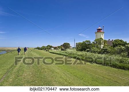 Stock Photo - Lighthouse on a dyke, Westermarkelsdorf, Fehmarn Island, Baltic Sea, Schleswig-Holstein, Germany, Europe. Fotosearch
