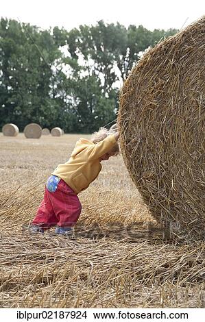 Little girl pushing a big staw bale, Saxony, Germany, Europe View Large Photo Image Picture - Little girl pushing a big staw bale, Saxony, Germany, Europe. Fotosearch