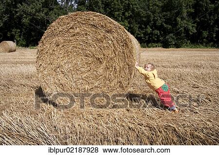 Little girl pushing a big straw bale, Saxony, Germany, Europe View Large Photo Image Stock Photo - Little girl pushing a big straw bale, Saxony, Germany, Europe. Fotosearch