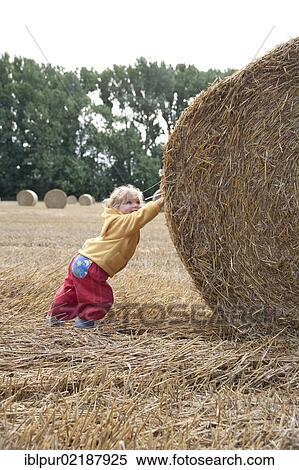 Little girl pushing a big straw bale, Saxony, Germany, Europe View Large Photo Image Stock Photography - Little girl pushing a big straw bale, Saxony, Germany, Europe. Fotosearch