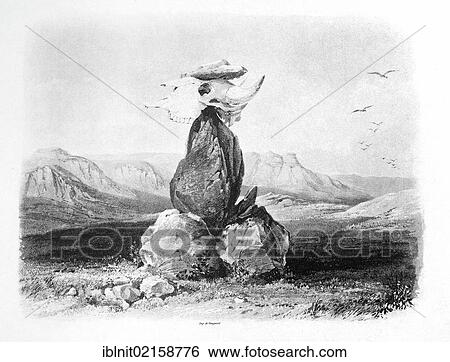 Magic pile erected by the Assiniboin Indians, illustration from Travels in the Interior of North America, 1832-1834, by Prince Maximilian of Wied, illustrations by Carl Bodmer, Koblenz, 1839 View Large Photo Image Stock Photograph - Magic pile erected by the Assiniboin Indians, illustration from Travels in the Interior of North America, 1832-1834, by Prince Maximilian of Wied, illustrations by Carl Bodmer, Koblenz, 1839. Fotosearch