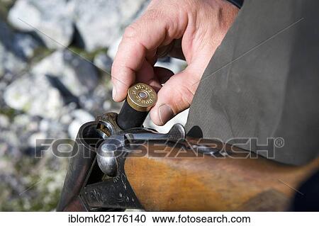 Man inserting a cartridge into a rifle, polar bear protection, Ammassalik Peninsula, at Sermilik Fjord, East Greenland, Greenland, North America View Large Photo Image Stock Image - Man inserting a cartridge into a rifle, polar bear protection, Ammassalik Peninsula, at Sermilik Fjord, East Greenland, Greenland, North America. Fotosearch