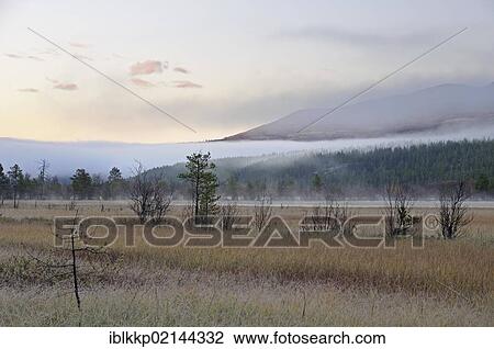 Stock Image - Marshy landscape at the foot of the Rondane Mountains, Rondane National Park, Norway, Europe. Fotosearch