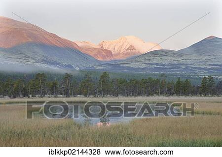 Marshy landscape at the foot of the Rondane Mountains, Rondane National Park, Norway, Europe View Large Photo Image Stock Photo - Marshy landscape at the foot of the Rondane Mountains, Rondane National Park, Norway, Europe. Fotosearch
