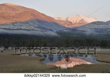 Marshy landscape at the foot of the Rondane Mountains, Rondane National Park, Norway, Europe View Large Photo Image Stock Photo - Marshy landscape at the foot of the Rondane Mountains, Rondane National Park, Norway, Europe. Fotosearch
