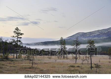 Marshy landscape at the foot of the Rondane Mountains, Rondane National Park, Norway, Europe View Large Photo Image Stock Photography - Marshy landscape at the foot of the Rondane Mountains, Rondane National Park, Norway, Europe. Fotosearch