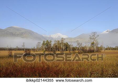 Marshy landscape at the foot of the Rondane Mountains, Norway, Europe View Large Photo Image Stock Photography - Marshy landscape at the foot of the Rondane Mountains, Norway, Europe. Fotosearch