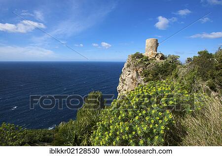 Mirador de Ses Animes near Banyalbufar, Majorca, Balearic Islands, Spain, Europe View Large Photo Image Stock Image - Mirador de Ses Animes near Banyalbufar, Majorca, Balearic Islands, Spain, Europe. Fotosearch