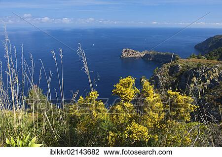 Stock Image - Miramar estate and headland of Sa Foradada, near Valldemossa, Majorca, Balearic Islands, Spain, Europe. Fotosearch