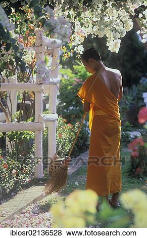 Monk sweeping up blossoms, Wat Choumkhong Sourintharame Temple, Luang Prabang, UNESCO World Heritage Site, Laos, Indochina, Asia View Large Photo Image Stock Photo - Monk sweeping up blossoms, Wat Choumkhong Sourintharame Temple, Luang Prabang, UNESCO World Heritage Site, Laos, Indochina, Asia. Fotosearch
