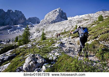 Stock Photo - Mountain climber ascending towards Marmolada Mountain on the Westgrat climbing route, Trentino, Dolomites, Italy, Europe. Fotosearch