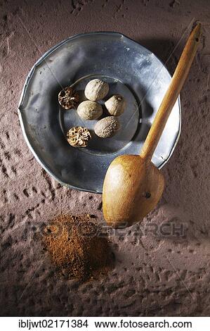Nutmegs (Myristica fragrans), on a metal plate with a wooden spoon and ground nutmeg on a rustic stone base View Large Photo Image Picture - Nutmegs (Myristica fragrans), on a metal plate with a wooden spoon and ground nutmeg on a rustic stone base. Fotosearch