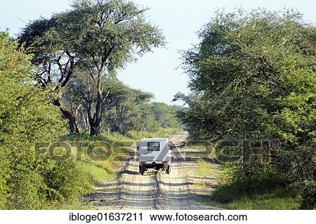 Off-road vehicle on a dirt track in the Moremi National Park, Okavango Delta, Botswana, Africa View Large Photo Image Stock Image - Off-road vehicle on a dirt track in the Moremi National Park, Okavango Delta, Botswana, Africa. Fotosearch