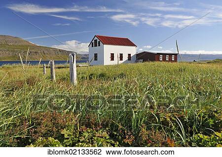 Old house, Hesteyri, Hesteyrarfjoerður or Joekulfirðir, Hornstrandir hiking paradise, Westfjords, Iceland, Europe View Large Photo Image Stock Image - Old house, Hesteyri, Hesteyrarfjoerður or Joekulfirðir, Hornstrandir hiking paradise, Westfjords, Iceland, Europe. Fotosearch