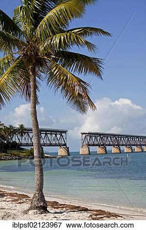 Old railway bridge and sandy beach in Bahia Honda State Park, Florida Keys, Florida, USA, North America View Large Photo Image Stock Photo - Old railway bridge and sandy beach in Bahia Honda State Park, Florida Keys, Florida, USA, North America. Fotosearch