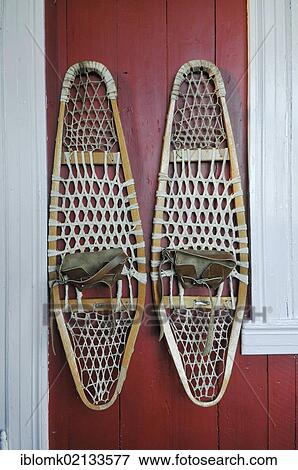 Old snow shoes, Læknishúsið, the old house of the doctor, Hesteyri, Hesteyrarfjoerður or Joekulfirðir, Hornstrandir hiking paradise, Westfjords, Iceland, Europe View Large Photo Image Stock Photo - Old snow shoes, Læknishúsið, the old house of the doctor, Hesteyri, Hesteyrarfjoerður or Joekulfirðir, Hornstrandir hiking paradise, Westfjords, Iceland, Europe. Fotosearch