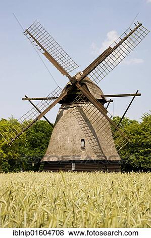 Old thatched windmill at the Funen Village open air museum, Denmark, Europe View Large Photo Image Stock Photo - Old thatched windmill at the Funen Village open air museum, Denmark, Europe. Fotosearch