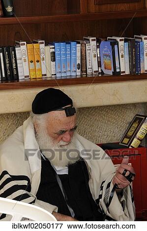 Orthodox Jew with phylactery or tefillin on his forehead at a library at the covered part of the Western or Wailing Wall, Muslim Quarter, Old City, Jerusalem, Israel, Middle East, Asia View Large Photo Image Stock Photo - Orthodox Jew with phylactery or tefillin on his forehead at a library at the covered part of the Western or Wailing Wall, Muslim Quarter, Old City, Jerusalem, Israel, Middle East, Asia. Fotosearch