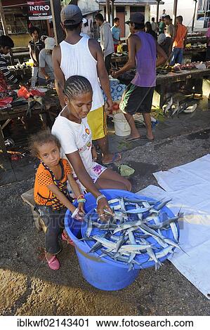 Papuan woman as a fishmonger selling fresh fish at the fish market in Kota Biak, Biak Island, West Papua, Indonesia, Southeast Asia, Asia View Large Photo Image Stock Image - Papuan woman as a fishmonger selling fresh fish at the fish market in Kota Biak, Biak Island, West Papua, Indonesia, Southeast Asia, Asia. Fotosearch