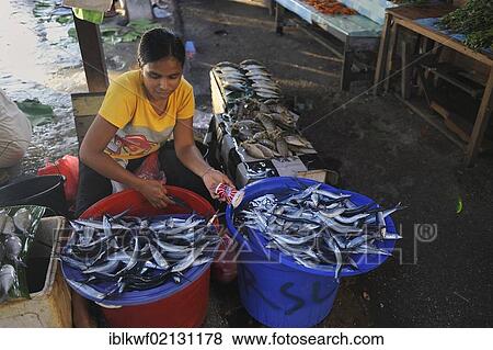 Papuan woman selling fish at the fish market in Biak, Kota Biak, Biak Island, Irian Jaya, Indonesia, Southeast Asia, Asia View Large Photo Image Stock Photo - Papuan woman selling fish at the fish market in Biak, Kota Biak, Biak Island, Irian Jaya, Indonesia, Southeast Asia, Asia. Fotosearch