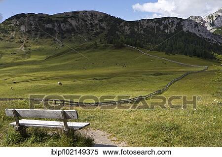Plaetzwiese high plateau, Dolomites, Alto Adige, Italy, Europe View Large Photo Image Stock Photography - Plaetzwiese high plateau, Dolomites, Alto Adige, Italy, Europe. Fotosearch