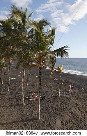 Playa de Puerto Naos, La Palma, Canary Islands, Spain, Europe, PublicGround, Europe View Large Photo Image Stock Photo - Playa de Puerto Naos, La Palma, Canary Islands, Spain, Europe, PublicGround, Europe. Fotosearch