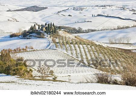 Picture - Podere Belvedere in winter, San Quirico d'Orcia, Tuscany, Italy, Europe, PublicGround, Europe. Fotosearch