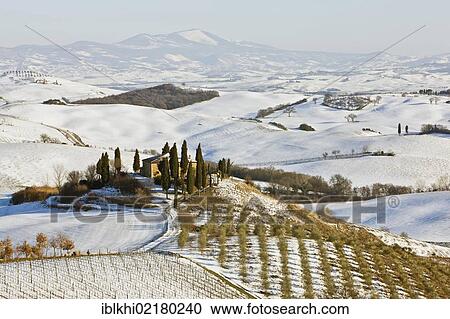 Podere Belvedere in winter, San Quirico d'Orcia, Tuscany, Italy, Europe, PublicGround, Europe View Large Photo Image Stock Image - Podere Belvedere in winter, San Quirico d'Orcia, Tuscany, Italy, Europe, PublicGround, Europe. Fotosearch