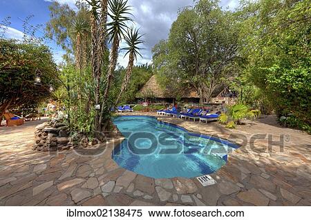 Pool at safari camp, lodge, Mara Fig Tree Camp, Masai Mara National Reserve, Kenya, East Africa, Africa View Large Photo Image Stock Photography - Pool at safari camp, lodge, Mara Fig Tree Camp, Masai Mara National Reserve, Kenya, East Africa, Africa. Fotosearch