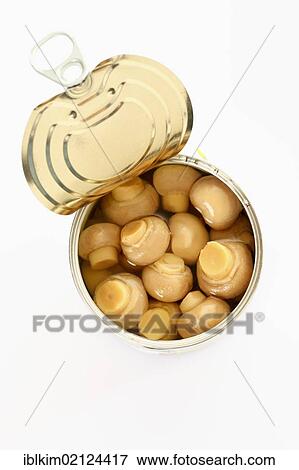 Preserved food, opened tin of mushrooms View Large Photo Image Stock Photo - Preserved food, opened tin of mushrooms. Fotosearch