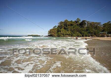 Red Frog Beach on the island of Bastimentos, Bocas del Toro Archipelago, Panama, Central America, North America View Large Photo Image Stock Photo - Red Frog Beach on the island of Bastimentos, Bocas del Toro Archipelago, Panama, Central America, North America. Fotosearch