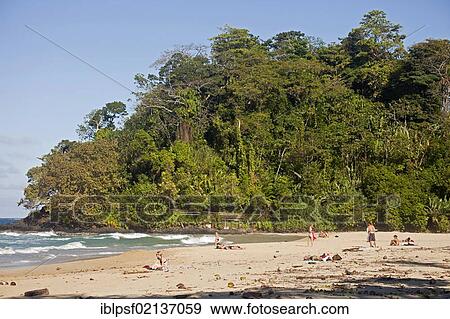 Red Frog Beach on the island of Bastimentos, Bocas del Toro Archipelago, Panama, Central America, North America View Large Photo Image Stock Photo - Red Frog Beach on the island of Bastimentos, Bocas del Toro Archipelago, Panama, Central America, North America. Fotosearch