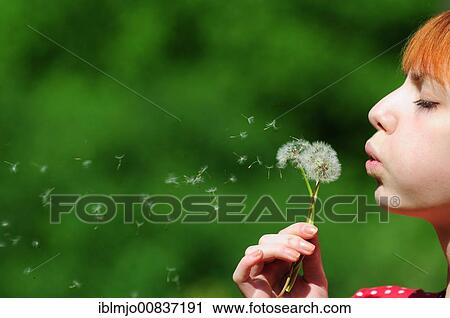 Stock Image - Red-haired woman wearing a red dress in the park, summer, blowing a dandelion clock, blowball and making a wish. Fotosearch