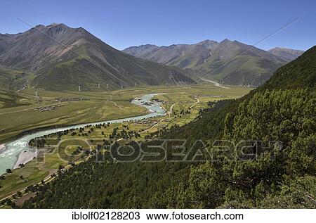 Reting river, Reting Tsangpo, with centuries-old juniper trees in the mountains of Reting Monastery, Mount Rarwa Gangi, Himalayas, Lhundrup district, Central Tibet, Tibet, China, Asia View Large Photo Image Stock Image - Reting river, Reting Tsangpo, with centuries-old juniper trees in the mountains of Reting Monastery, Mount Rarwa Gangi, Himalayas, Lhundrup district, Central Tibet, Tibet, China, Asia. Fotosearch