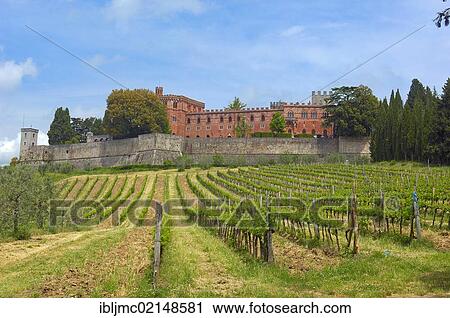Stock Image - Ricasoli Vineyard, Chianti, Castello di Brolio, Brolio Castle, Siena Province, Tuscany, Italy, Europe. Fotosearch
