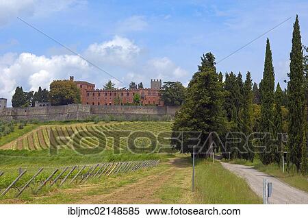 Ricasoli Vineyard, Chianti, Castello di Brolio, Brolio Castle, Siena Province, Tuscany, Italy, Europe View Large Photo Image Stock Photography - Ricasoli Vineyard, Chianti, Castello di Brolio, Brolio Castle, Siena Province, Tuscany, Italy, Europe. Fotosearch