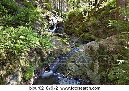 Stock Image - Rissfaelle waterfalls, artificial waterfalls on Weisse Goeltzsch river, a monument of engineering, near Hammerbruecke bridge, Falkenstein, Vogtland region, Saxony, Germany, Europe. Fotosearch