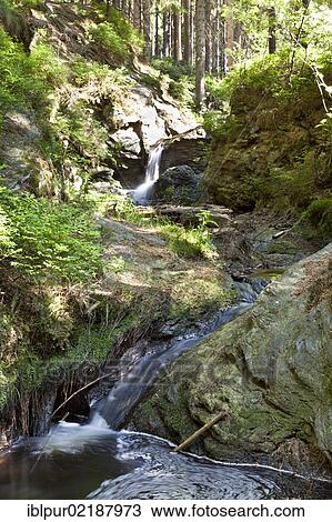 Stock Image - Rissfaelle waterfalls, artificial waterfalls on Weisse Goeltzsch river, a monument of engineering, near Hammerbruecke bridge, Falkenstein, Vogtland region, Saxony, Germany, Europe. Fotosearch