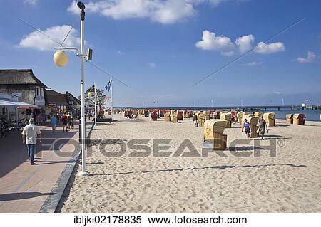 Roofed wicker beach chairs standing on the beach, beach promenade, Dahme, Baltic Sea, Schleswig-Holstein, Germany, Europe View Large Photo Image Stock Photography - Roofed wicker beach chairs standing on the beach, beach promenade, Dahme, Baltic Sea, Schleswig-Holstein, Germany, Europe. Fotosearch