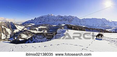 Saentis Mountain panorama seen from Alp Spicher Mountain, Canton of St. Gallen, Switzerland, Europe View Large Photo Image Stock Photography - Saentis Mountain panorama seen from Alp Spicher Mountain, Canton of St. Gallen, Switzerland, Europe. Fotosearch