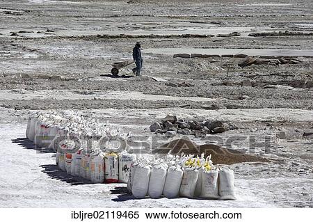 Stock Photography - Salt worker with a wheelbarrow, flour sacks packed with salt at a salt lake, Altiplano, Potosi, southern Bolivia, South America. Fotosearch