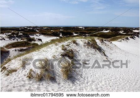 Sand dunes, Bornholm, Denmark, Europe View Large Photo Image Stock Photography - Sand dunes, Bornholm, Denmark, Europe. Fotosearch