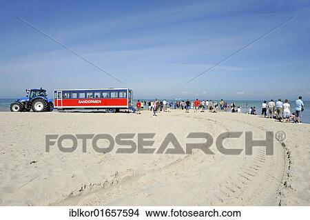 Sanddormen dunes train at headland with tourists visiting, area where the North Sea and the Baltic Sea meet, Skagen, Jutland, Denmark, Europe View Large Photo Image Picture - Sanddormen dunes train at headland with tourists visiting, area where the North Sea and the Baltic Sea meet, Skagen, Jutland, Denmark, Europe. Fotosearch