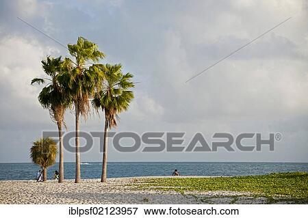 Sandy beach, Sombrero Beach, Marathon, Florida Keys, Florida, USA, North America View Large Photo Image Stock Photo - Sandy beach, Sombrero Beach, Marathon, Florida Keys, Florida, USA, North America. Fotosearch