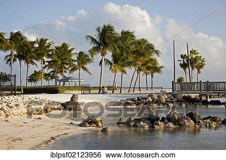 Sandy beach, Sombrero Beach, Marathon, Florida Keys, Florida, USA, North America View Large Photo Image Stock Photograph - Sandy beach, Sombrero Beach, Marathon, Florida Keys, Florida, USA, North America. Fotosearch