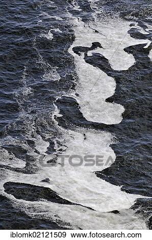 Sea foam, sea off Smidjuvikurbjarg, east coast of Hornstrandir, Westfjords, Iceland, Europe View Large Photo Image Stock Photo - Sea foam, sea off Smidjuvikurbjarg, east coast of Hornstrandir, Westfjords, Iceland, Europe. Fotosearch