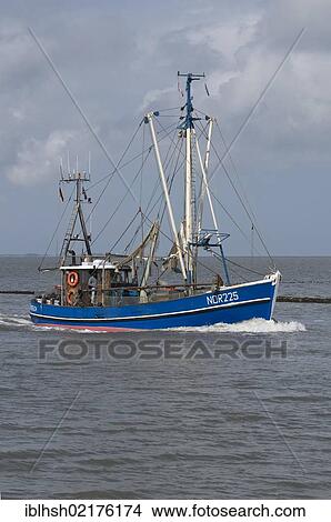 Shrimp boat "Nordmeer", NOR 225, entering the harbour of Norddeich, Wadden Sea UNESCO World Heritage Site, East Frisia, Lower Saxony, North Sea, Germany, Europe View Large Photo Image Picture - Shrimp boat "Nordmeer", NOR 225, entering the harbour of Norddeich, Wadden Sea UNESCO World Heritage Site, East Frisia, Lower Saxony, North Sea, Germany, Europe. Fotosearch