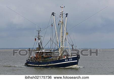 Shrimp boat "Nordstrand", NOR 232, on her way back to the home port of Norddeich, Wadden Sea, UNESCO World Heritage Site, East Frisia, Lower Saxony, Germany, Europe View Large Photo Image Stock Photograph - Shrimp boat "Nordstrand", NOR 232, on her way back to the home port of Norddeich, Wadden Sea, UNESCO World Heritage Site, East Frisia, Lower Saxony, Germany, Europe. Fotosearch