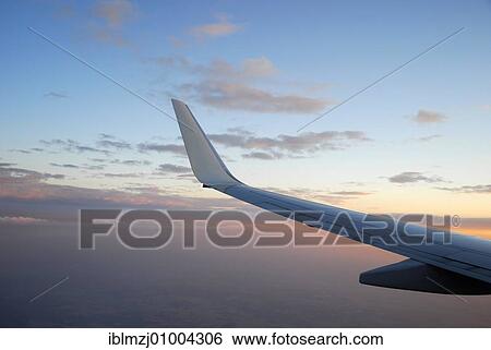 Silver wing in the sunset, approach of a Boeing 737-800 airplane towards Frankfurt, Germany, Europe View Large Photo Image Stock Photograph - Silver wing in the sunset, approach of a Boeing 737-800 airplane towards Frankfurt, Germany, Europe. Fotosearch